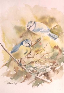 Aquarelle. Coll. Part.