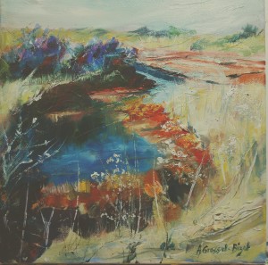 Les salicornes du marais de Talmont-St-Hilaire